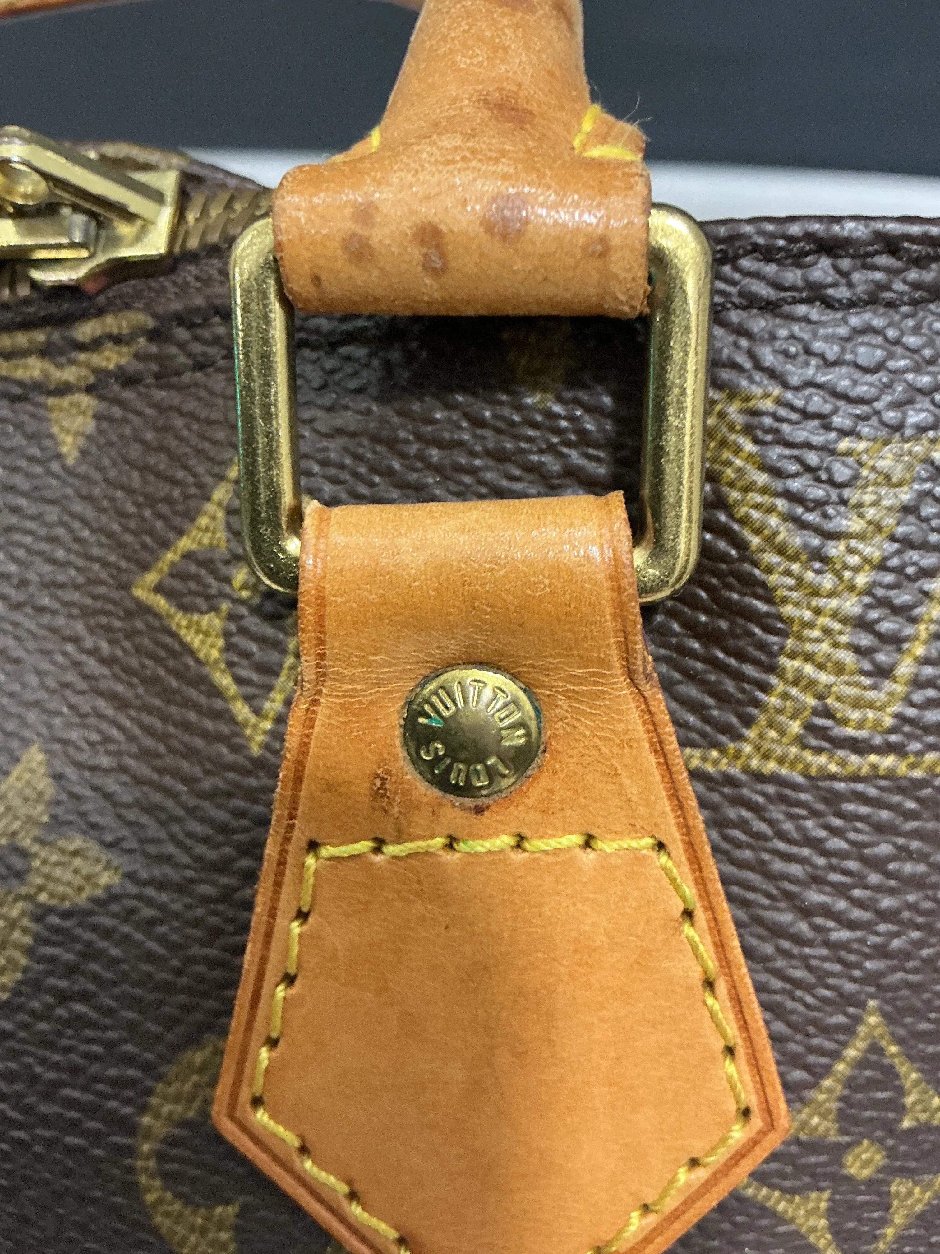 Borsa Alma Louis Vuitton [Preloved]