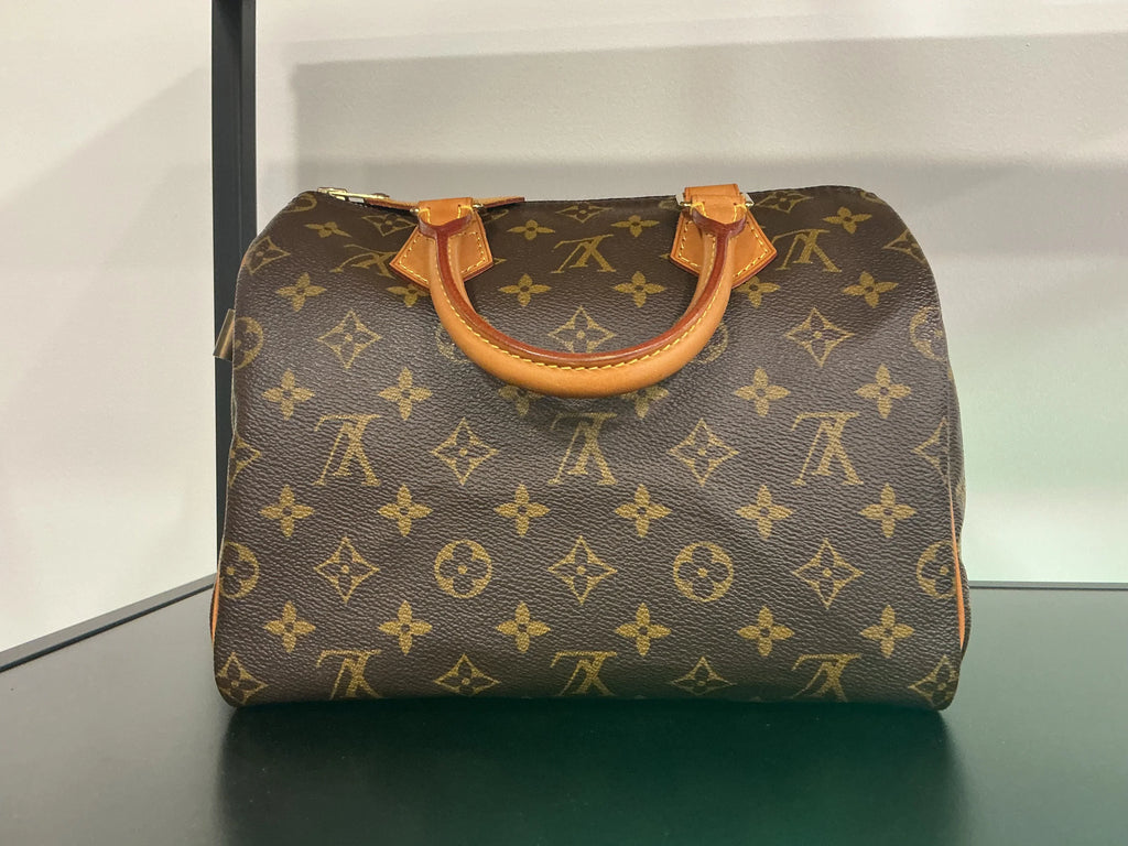 Borsa Louis Vuitton [Preloved]