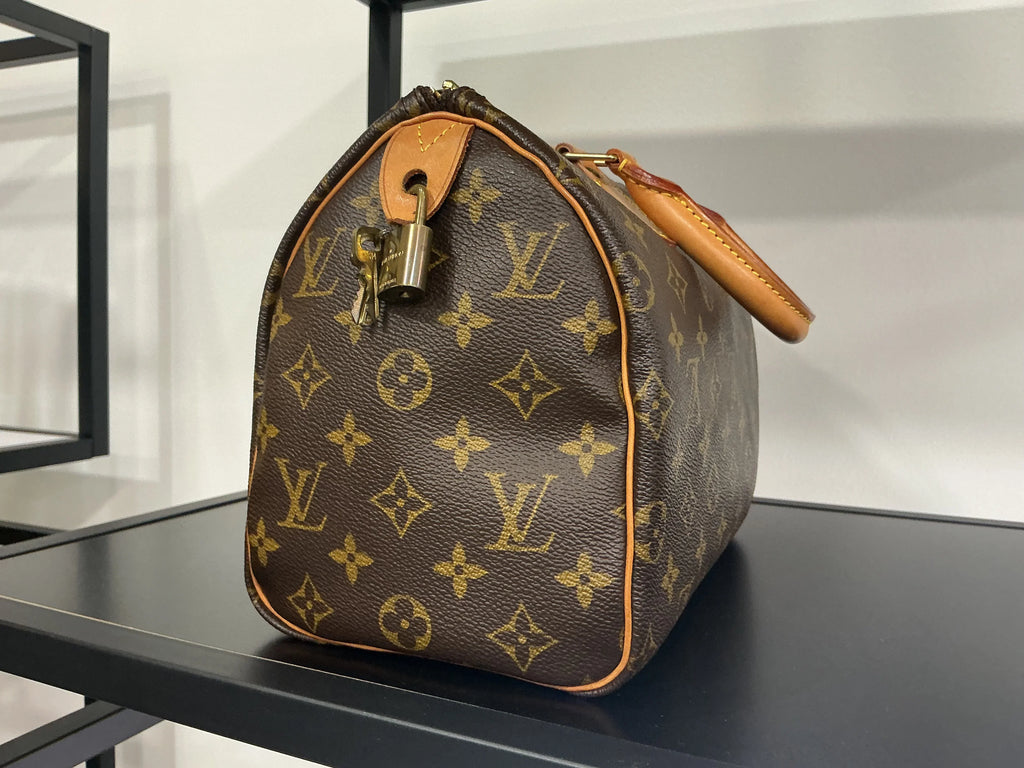 Borsa Louis Vuitton [Preloved]