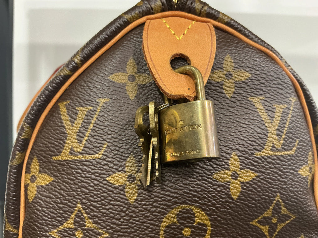 Borsa Louis Vuitton [Preloved]