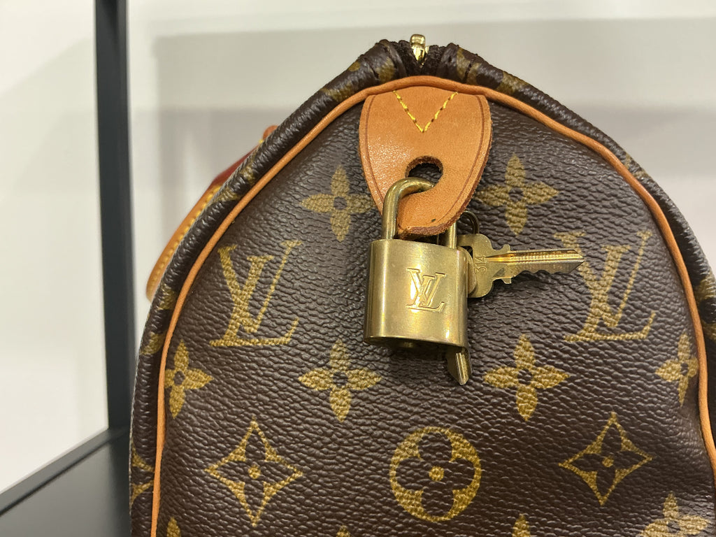 Borsa Louis Vuitton [Preloved]