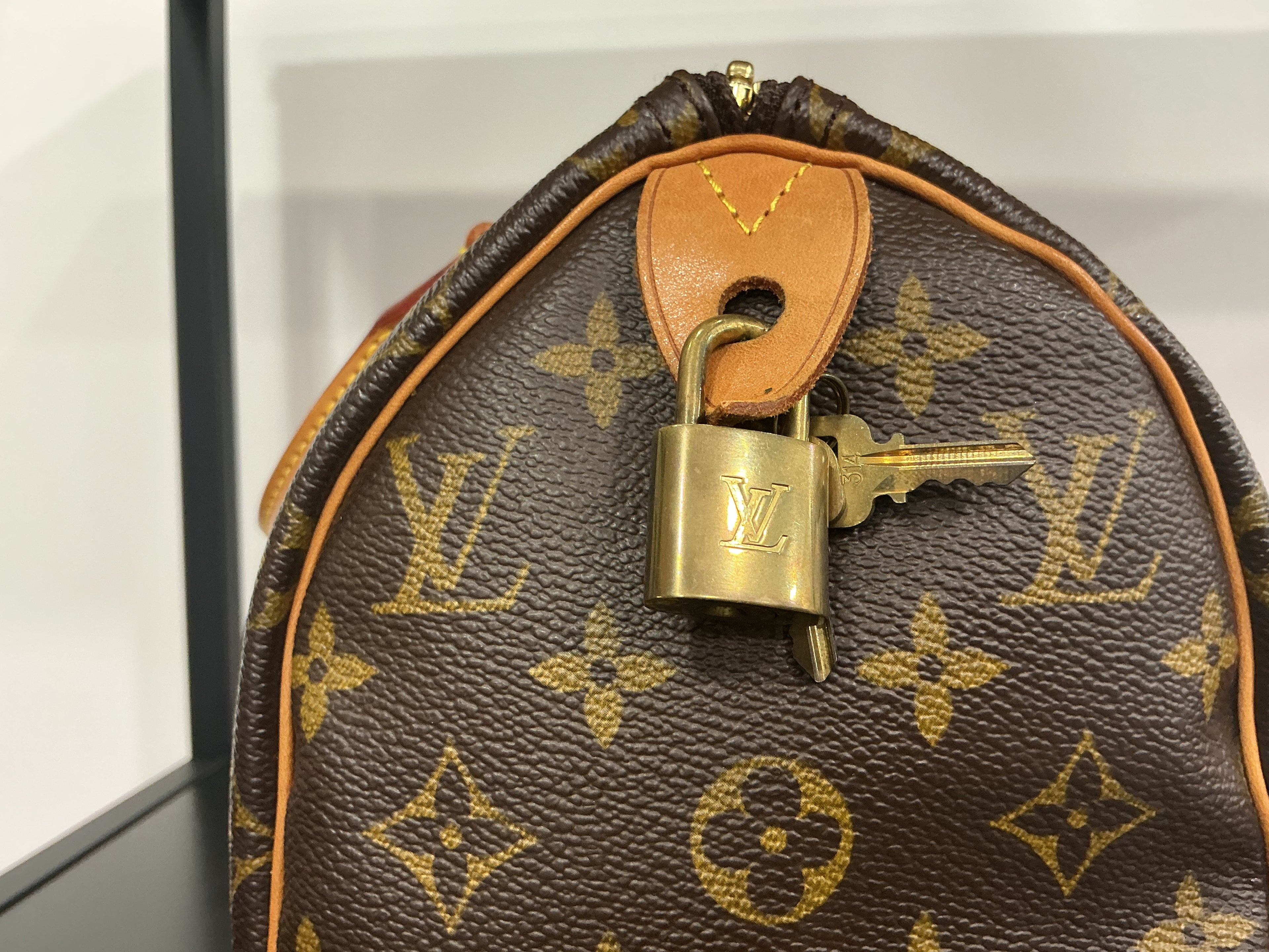 Borsa Louis Vuitton [Preloved]