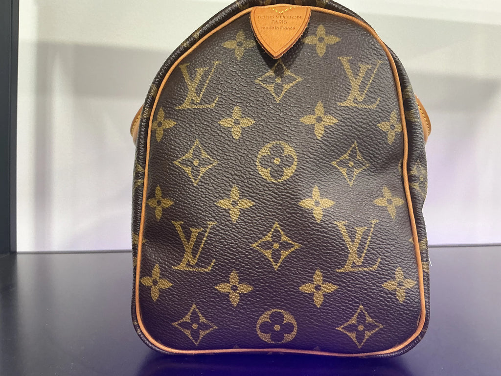 Borsa Louis Vuitton [Preloved]