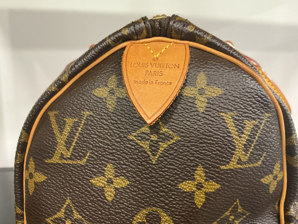 Borsa Louis Vuitton [Preloved]