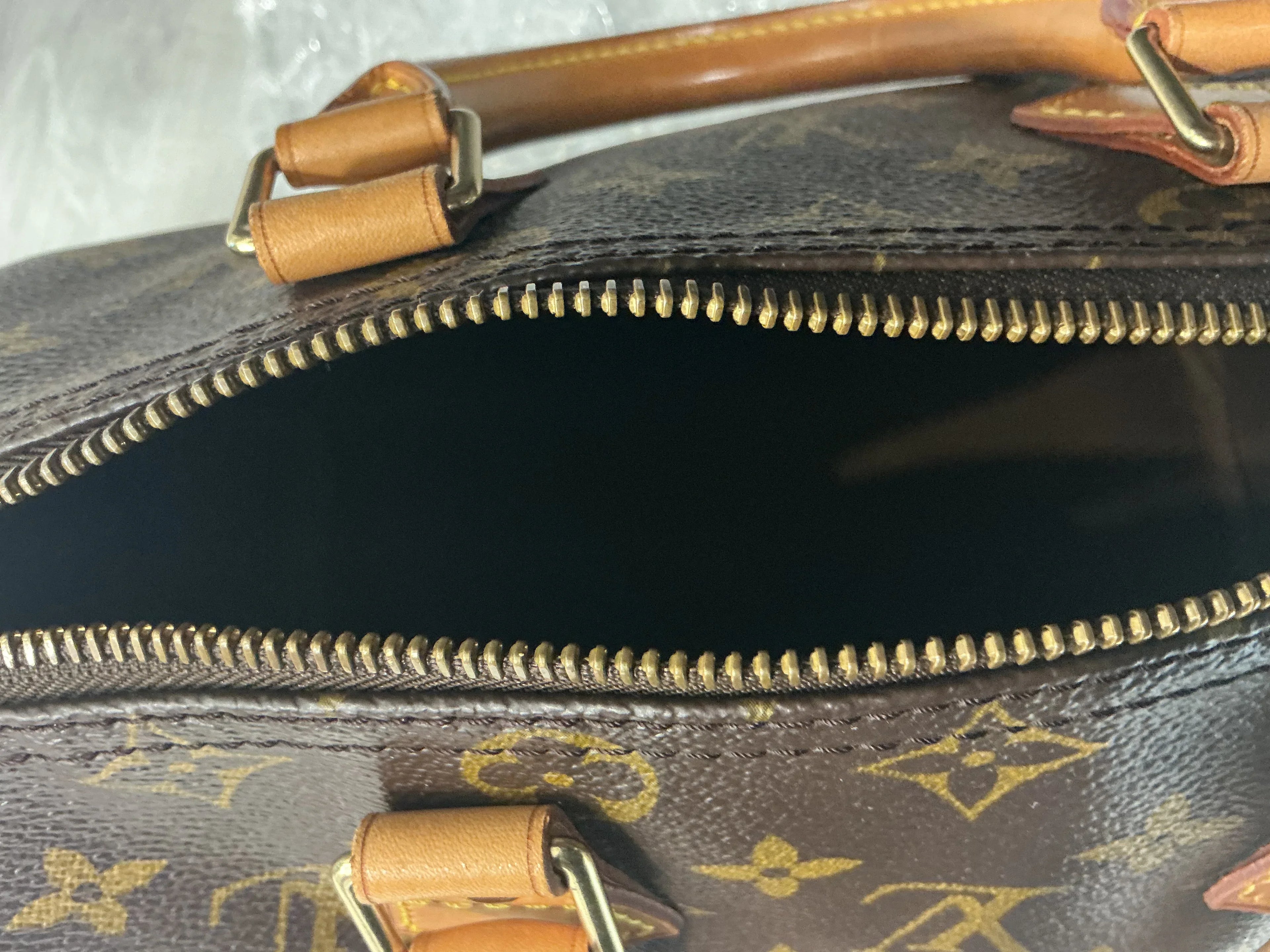 Borsa Louis Vuitton [Preloved]