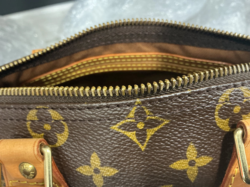 Borsa Louis Vuitton [Preloved]