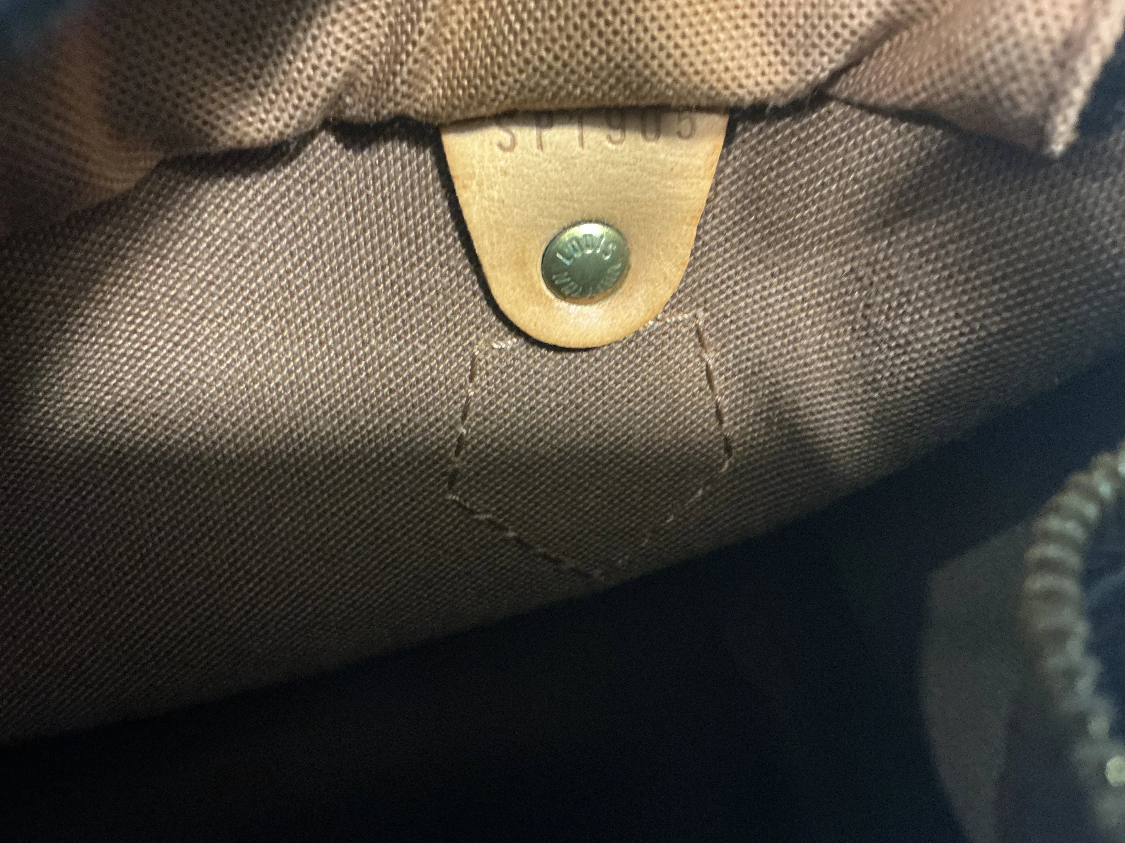 Borsa Louis Vuitton [Preloved]