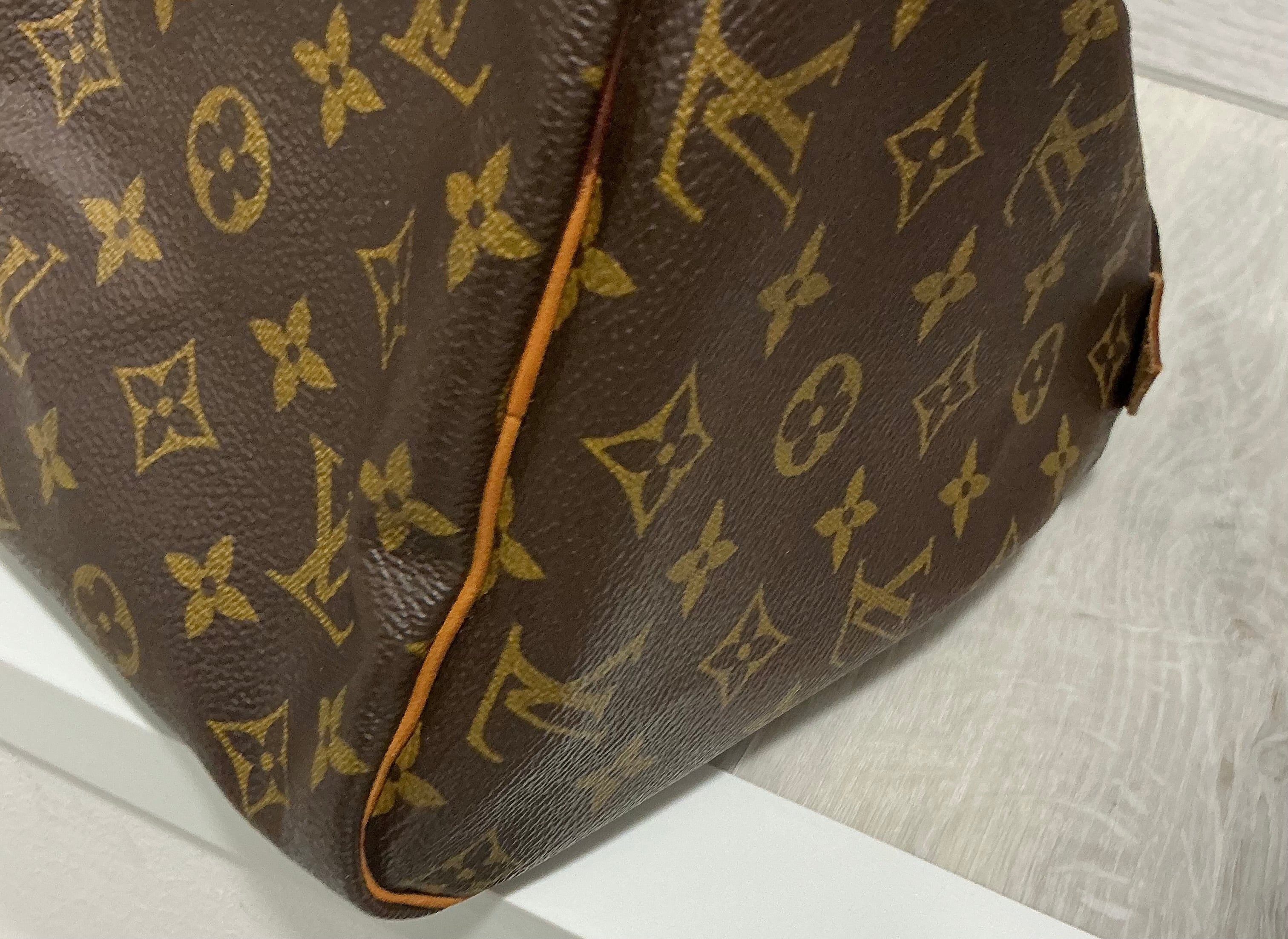Borsa Louis Vuitton Speedy 30 Monogram [Preloved]