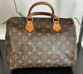Borsa Louis Vuitton Speedy 30 Monogram [Preloved]
